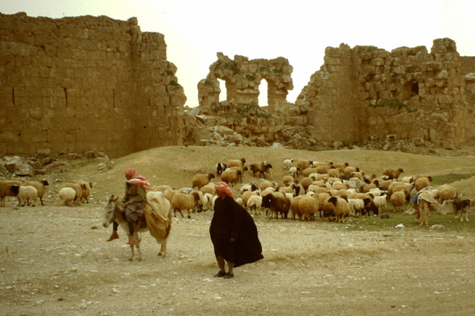 Vorschaubild Rusafa (Al-Resafa, Syrien), Stadtmauer, Foto von 2001